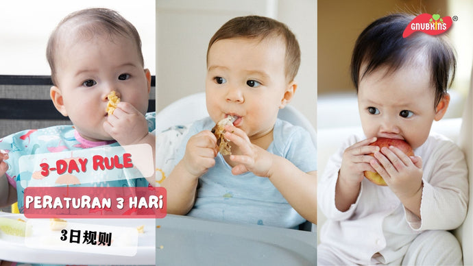 Apa yang perlu diketahui oleh setiap ibu sebelum bayi mula makan? 