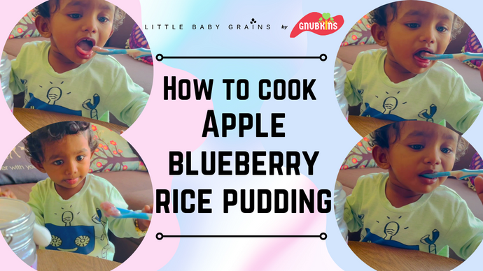Apple Blueberry Rice Pudding | 7 Months
