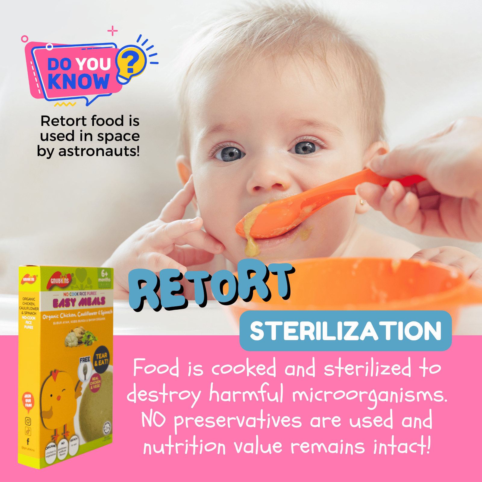 Instant Real Porridge Puree