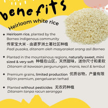 Load image into Gallery viewer, Starter Kit for Babies from 9-12 Months (PREMIUM Range)