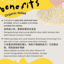 Load image into Gallery viewer, Starter Kit for Babies from 9-12 Months (PREMIUM Range)