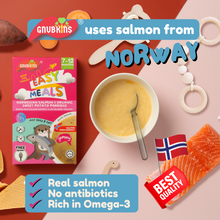 Load image into Gallery viewer, Norwegian Salmon &amp; Organic Sweet Potato Porridge (7-12 months)