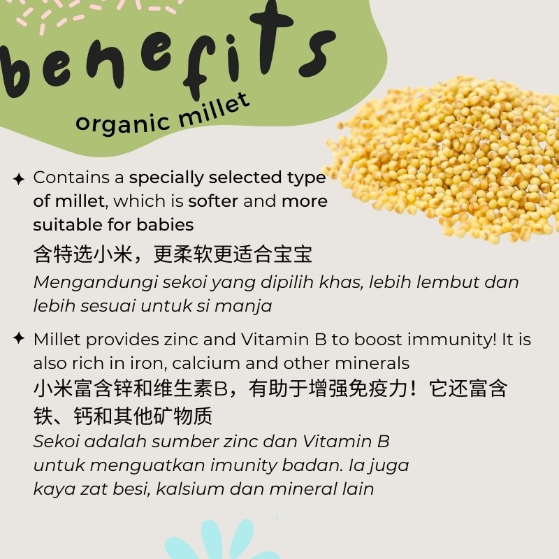 Baby Grains BASIC Range (6-15 Months)