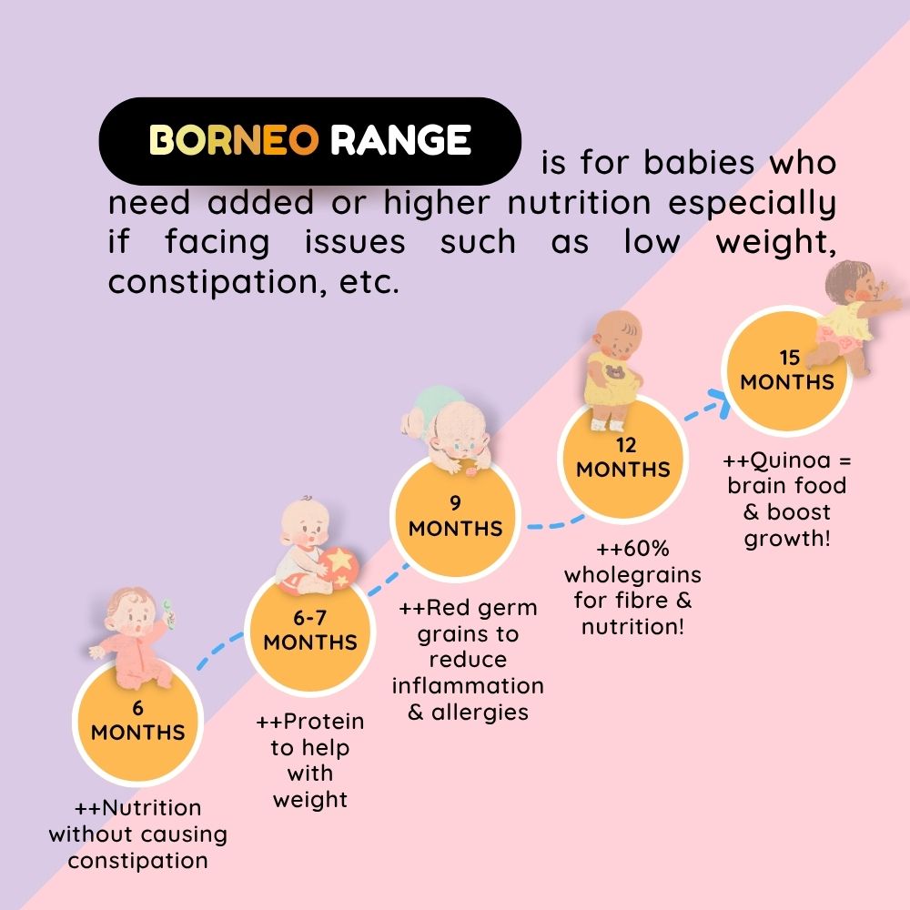 Baby Rice BORNEO (PREMIUM) Range (6-15 Months)