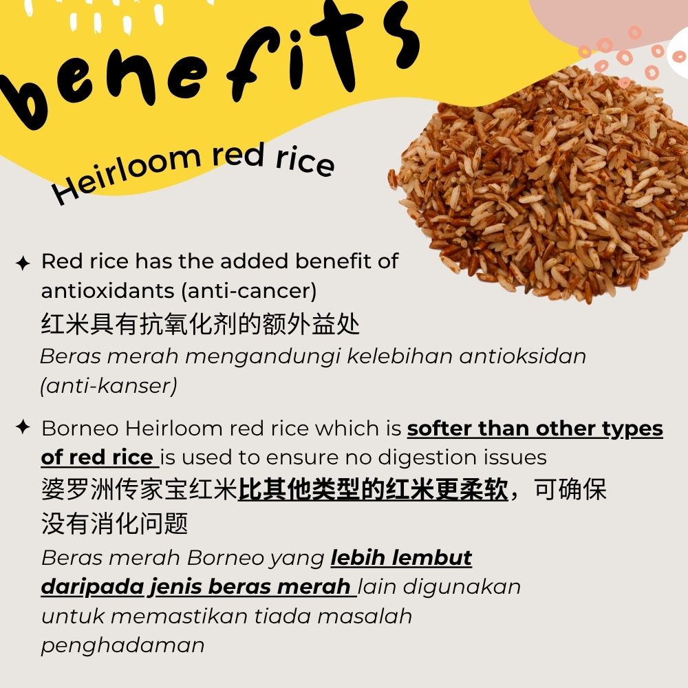 Baby Rice BORNEO (PREMIUM) Range (6-15 Months)