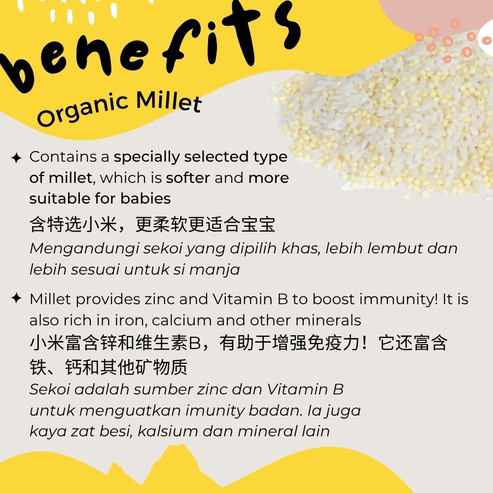 Baby Rice BORNEO (PREMIUM) Range (6-15 Months)