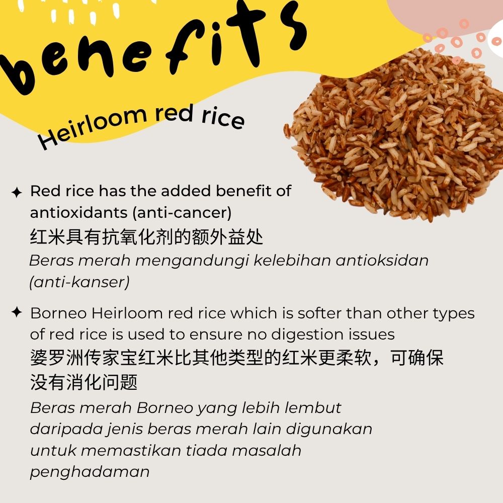 Baby Rice BORNEO (PREMIUM) Range (6-15 Months)