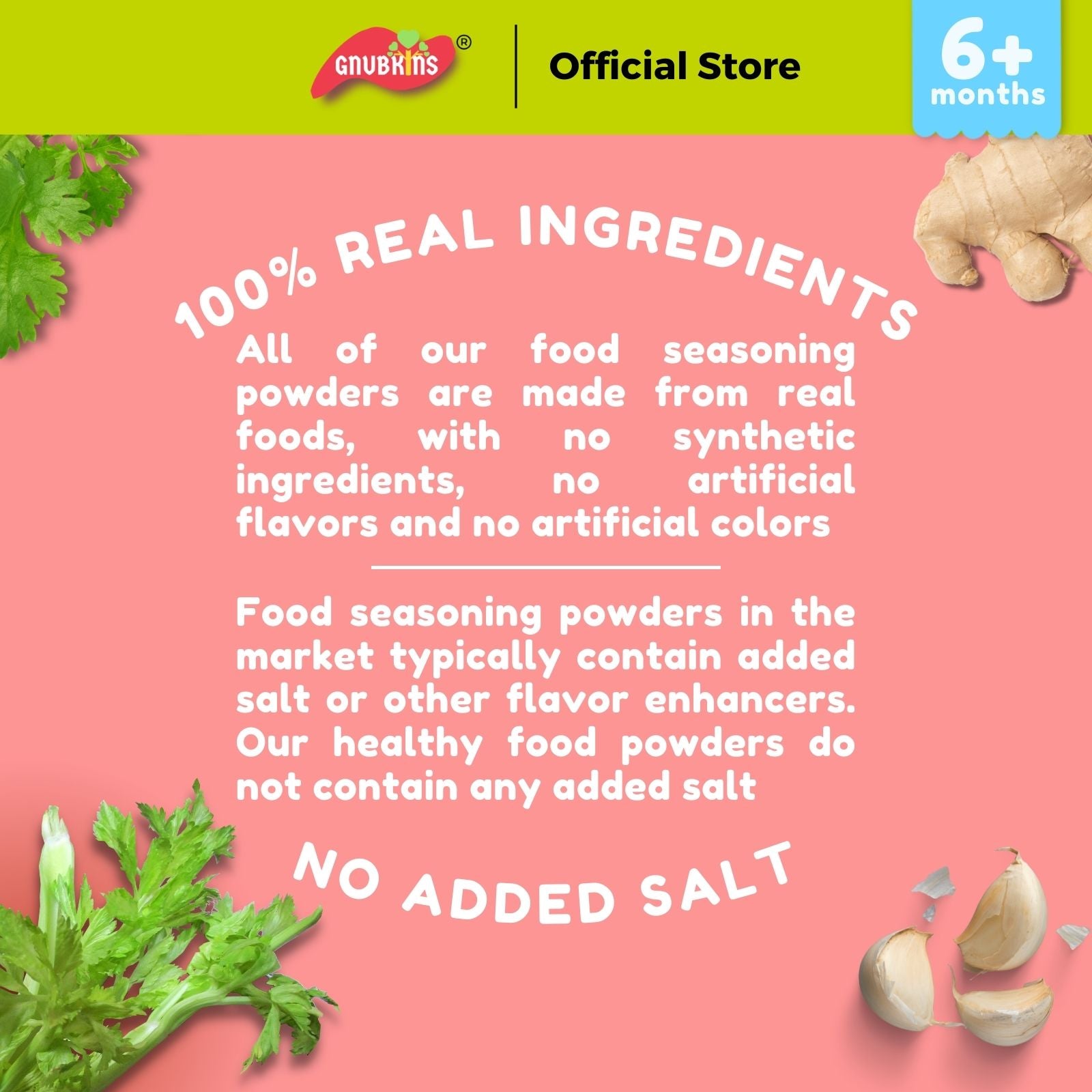 Natural Seasoning Powder