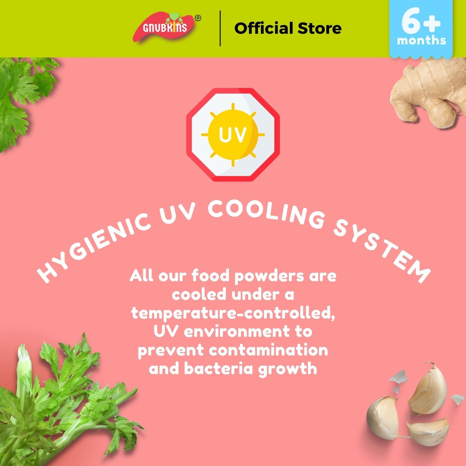 Natural Seasoning Powder